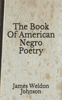 The Book Of American Negro Poetry