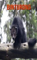 Binturong: Incredible Pictures and Fun Facts about Binturong