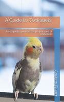 Guide to Cockatiels