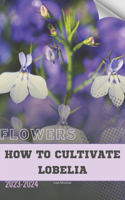 How to Cultivate Lobelia: Become flowers expert