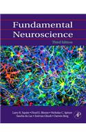 Fundamental Neuroscience