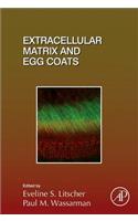 Extracellular Matrix and Egg Coats