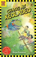 Chaos at Keoladeo: The National Park Explorers Book #1