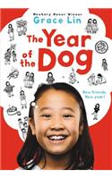 Year of the Dog: A Novel