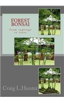 Forest Bonsai