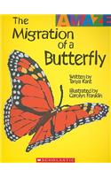 The Migration of a Butterfly