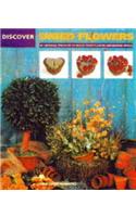 Discover Dried Flowers