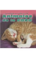 Animales de la Casa (Animals Around the House)