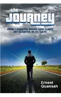 The Journey: How I Cheated Death and Cured My Diabetes in 21 Days