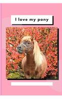 I Love My Pony