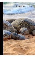 hawaii sea turtle