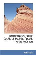 Commentaries on the Epistle of Paul the Apostle to the Hebrews