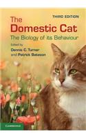 Domestic Cat