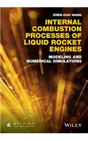 Internal Combustion Processes of Liquid Rocket Engines