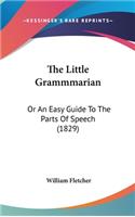 The Little Grammmarian