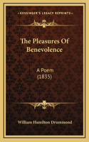 The Pleasures of Benevolence