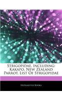 Articles on Strigopidae, Including: Kakapo, New Zealand Parrot, List of Strigopidae