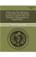 Improving the Expression of Secretory and Membrane Proteins in Escherichia Coli Through Folding Pathway Engineering