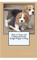 How to Train and Understand your Beagle Puppy or Dog