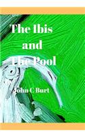 The ibis and The Pool.