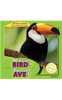 What's a Bird? / ¿Qué Es Un Ave?