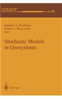 Stochastic Models in Geosystems