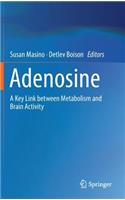 Adenosine: A Key Link Between Metabolism and Brain Activity