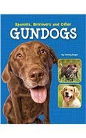 Spaniels, Retrievers and Other Gundogs: (Edge Books: Dog Files)