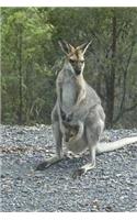 Wallaby with Joey in Pouch Journal