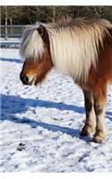 Icelandic Horse Journal: 150 Page Lined Notebook/Diary