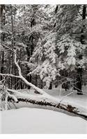 Journal Snowstorm Winter Day Photography: (Notebook, Diary, Blank Book)