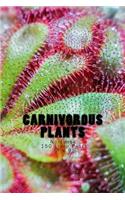 Carnivorous Plants