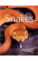 Snakes