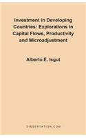 Investment in Developing Countries: Explorations in Capital Flows, Productivity and Microadjustment