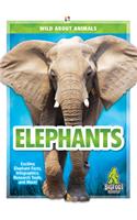Elephants