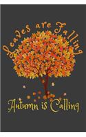 Leaves Are Falling Autumn Is Calling