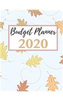 Budget Planner 2020: A Monthly Financial Planner And Organizer