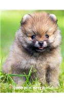 Pomeranian Puppy Journal: 7.44 x 9.69 inch dog notebook, college ruled composition book, dog lined journal, 200 pages