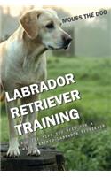 Labrador Retriever Training