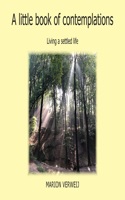 Little Book of Contemplations