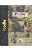 Poodle