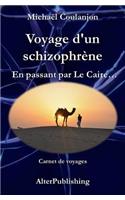 Voyage d'un schizophrène