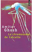 Chromosome de Calcutta(le)