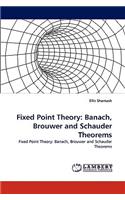 Fixed Point Theory: Banach, Brouwer and Schauder Theorems