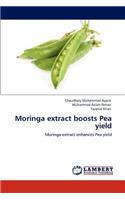 Moringa extract boosts Pea yield