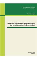Ursachen der geringen Wahlbeteiligung bei Landtagswahlen in Brandenburg