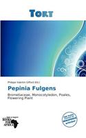 Pepinia Fulgens