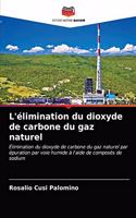 L'élimination du dioxyde de carbone du gaz naturel