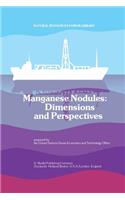 Manganese Nodules: Dimensions and Perspectives
