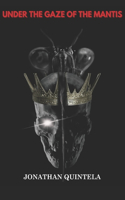 Under the Gaze of the Mantis: A Journey Into the Eternal Light Within the Absolute Void